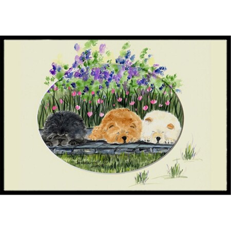 Micasa 18 x 27 in. Chow Chow Indoor Outdoor Mat MI55750